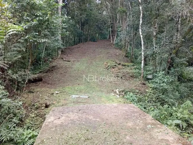 Refúgio Natural Próximo ao Morro da Palha  Chácara com Rios em Área Privilegiada