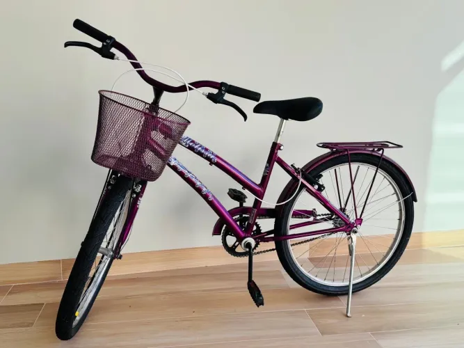 Bicicleta Feminina Aro 26 com Cestinha e Bagageiro - Ótimo Estado