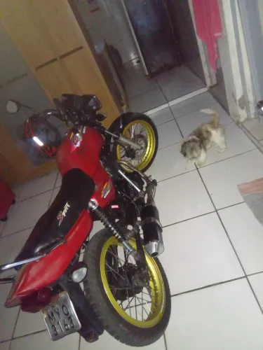 Trocar em pé aros da 160 pé de galinhas