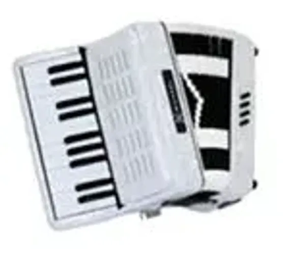 Acordeon Michael 8 baixos com bolsa