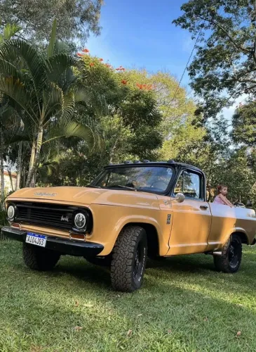 Chevrolet C-10 2.5/4.1 1976