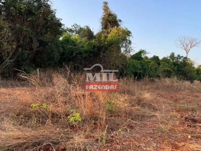 Chácara 32.000 m2 (54 Litros) Caturaí - GO