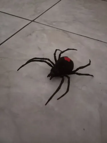 Aranha viúva-negra eletrônica