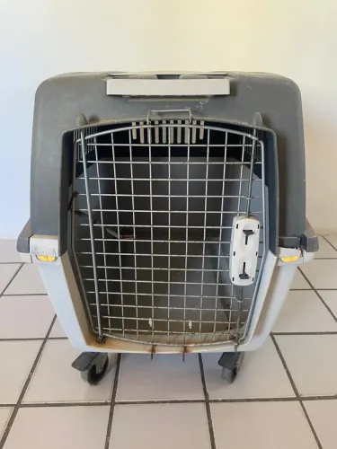 Carrinho para cães de porte médio 