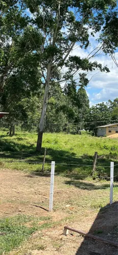 Pasto para cavalos mensal