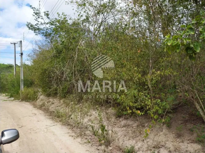 Terreno à venda com área total de 2.000 m² no loteamento Ramaceli em Gravatá/PE!