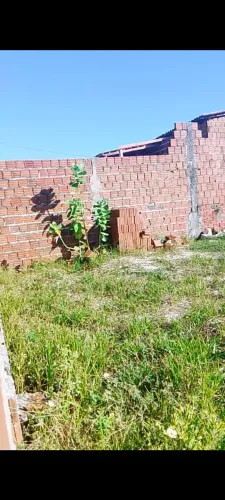 Terreno pra troca ou vende