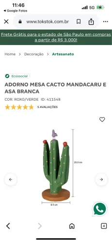 Cacto mandacaru