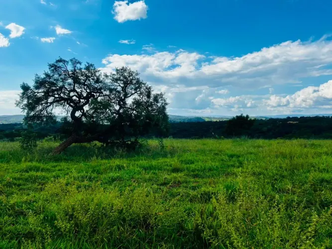 Terrenos de 20.000m2 ao Lado do Convento de Macaúbas com Pagamento Facilitado