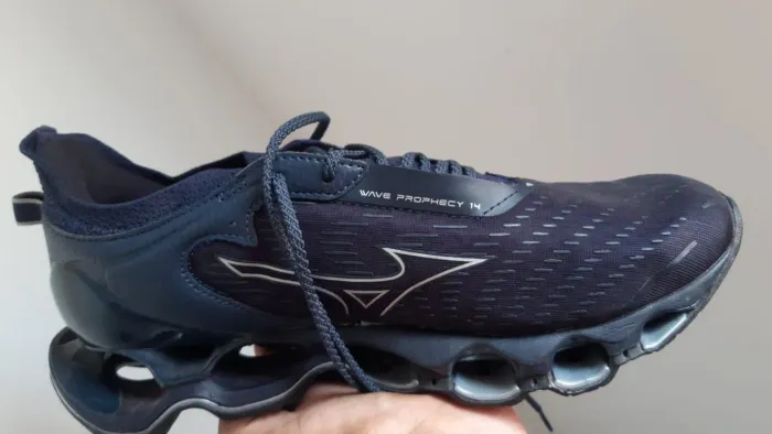 Mizuno Wave prophecy 14