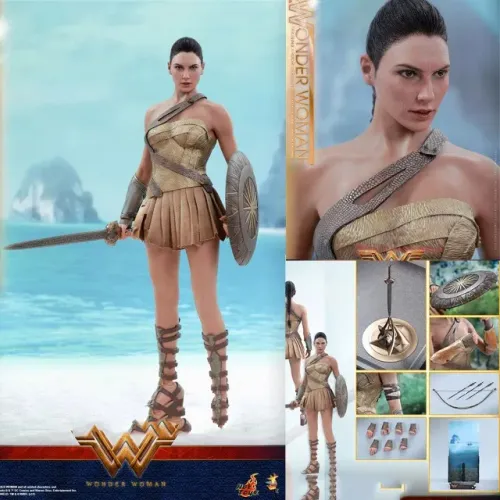 Hot Toys Mulher Maravilha Armadura de Treinamento