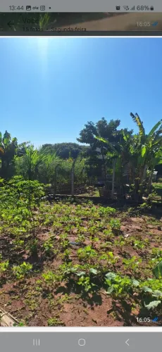 Terreno
