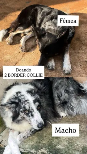 Doação . 