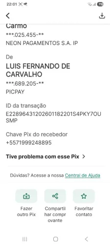 Doação pit bull 