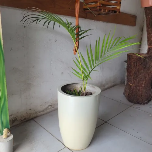 Vaso em fibra de vidro com palmeira