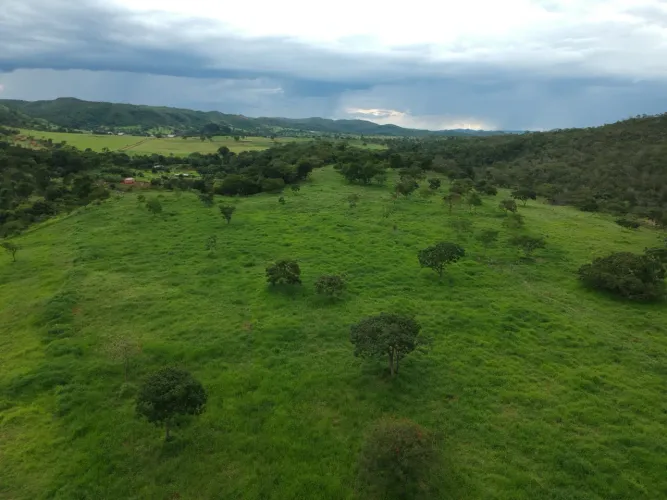 Fazenda 10 Alqueire Planaltina Go
