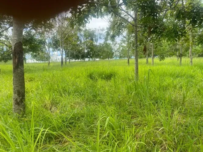 Sitio a venda Regiao Ribeirão Preto 3 alqueires aceita imoveis em Ribeirão
