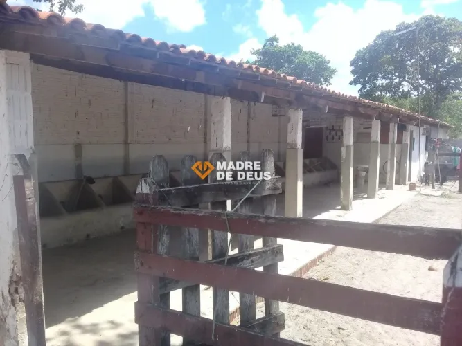 Terreno ótimo potencial pra criação de peixe,