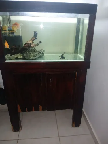 Aquario 200Litros