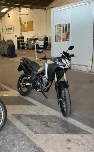 Shaara 300