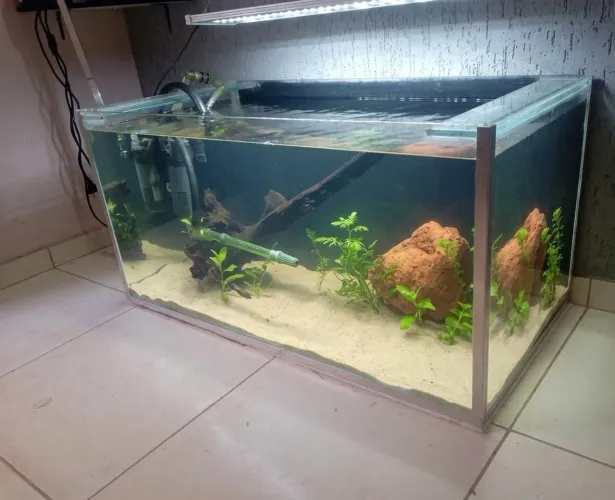 Aquário 250L