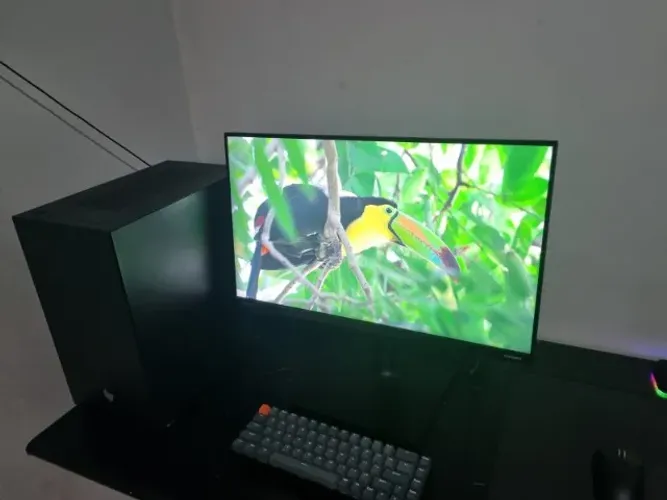 PC Gamer + Periféricos