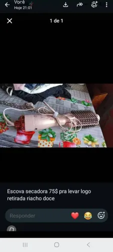Escova secadora 