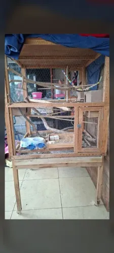 Viveiro para calopsita e pássaros
