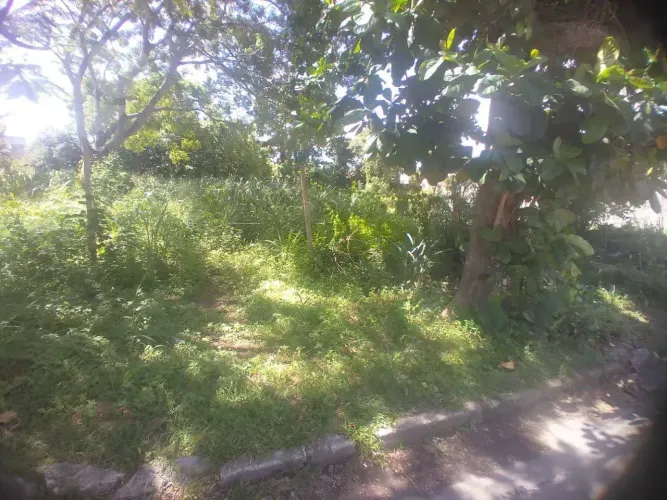 Terreno à venda, 860 m² por R$ 2.900.000,00 - Camboinhas - Niterói/RJ