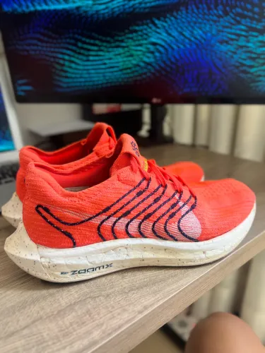 Nike pegasus turbo 40