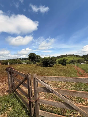 Chácara em Petrolina de Goiás - a 1 do asfalto