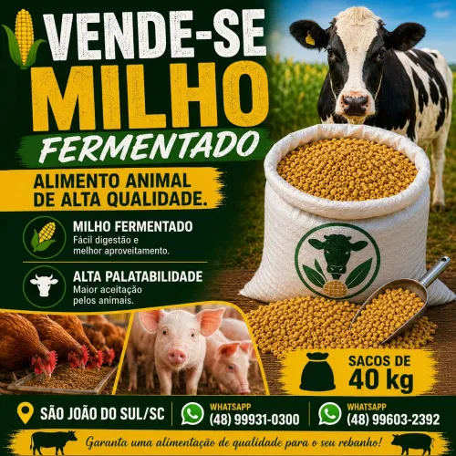 Vende - se milho