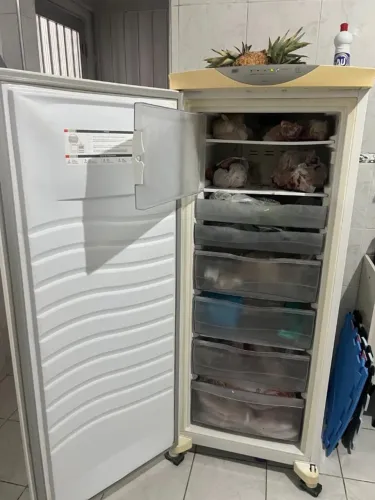 Freezer frost free
