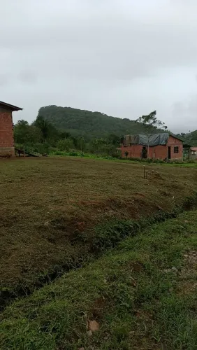Terreno com casa em antonina