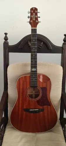 VIOLÃO STRINBERG AÇO 