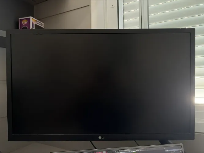 Monitor LG 75hz