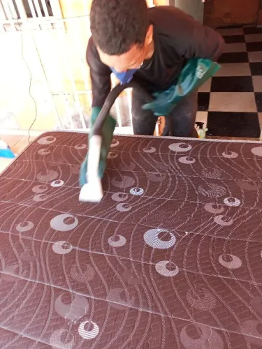 Higienização profissional