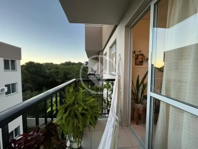GM- APARTAMENTO 2 DORMITÓRIOS - VARGEM DO BOM JESUS