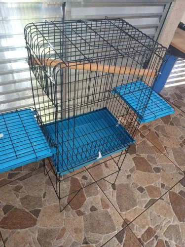 Gaiola para calopsita