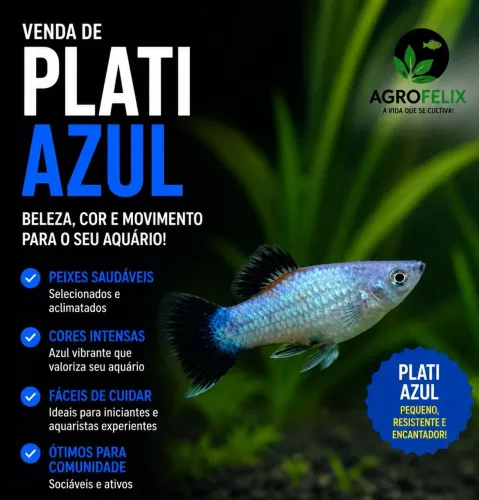 Plati azul