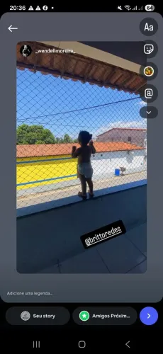 Telas de proteção para pets