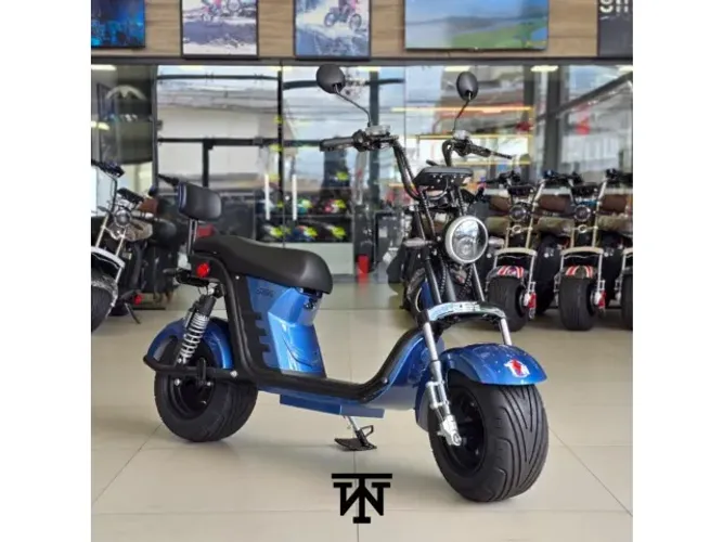 Scooter x12 1000w