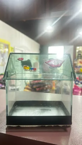 Aquário Beteira