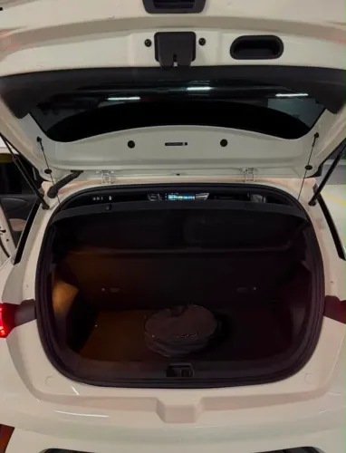 BYD Dolphin Plus (Elétrico) 2024