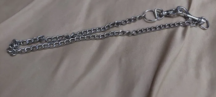 Corrente de bolsa