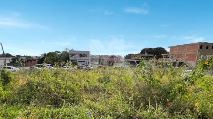 Lote para Venda em Cariacica, Campo Belo