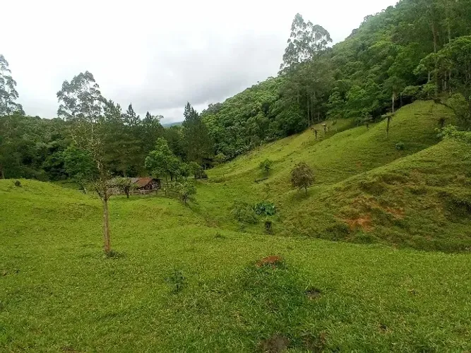Vendo lindo sitio