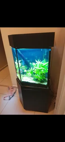 Aquário 92L com móvel completo