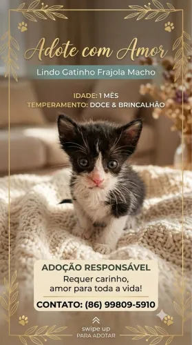 Adoção responsável