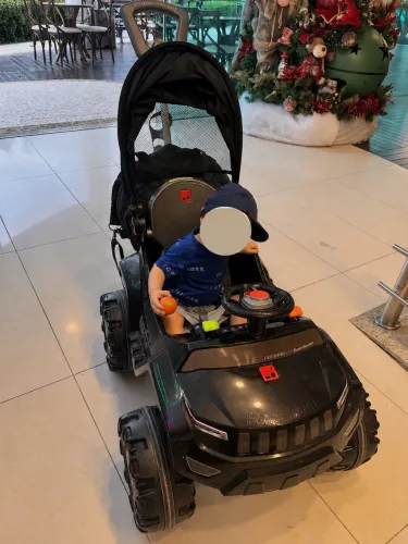 Carrinho Banjipe Bandeirante